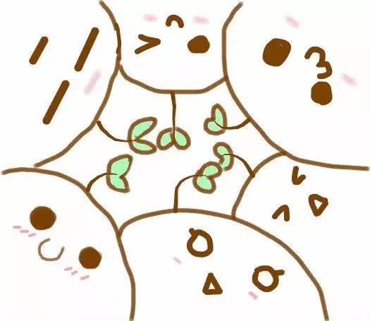 手机内存太小了怎么给内存扩大,手机内存太小了怎么扩大内存