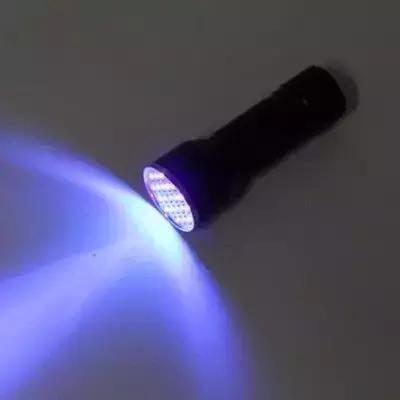 梅雨季猫癣症状,天气连续潮湿猫癣高发期