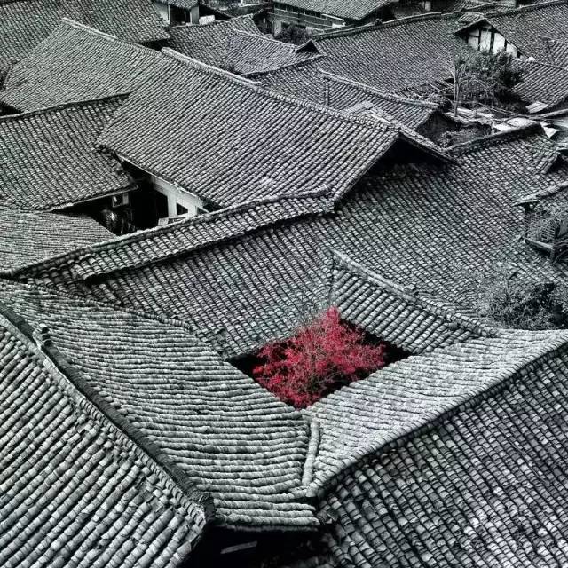 原来用手机就能拍出这么美的照片,手机拍出来最美的照片