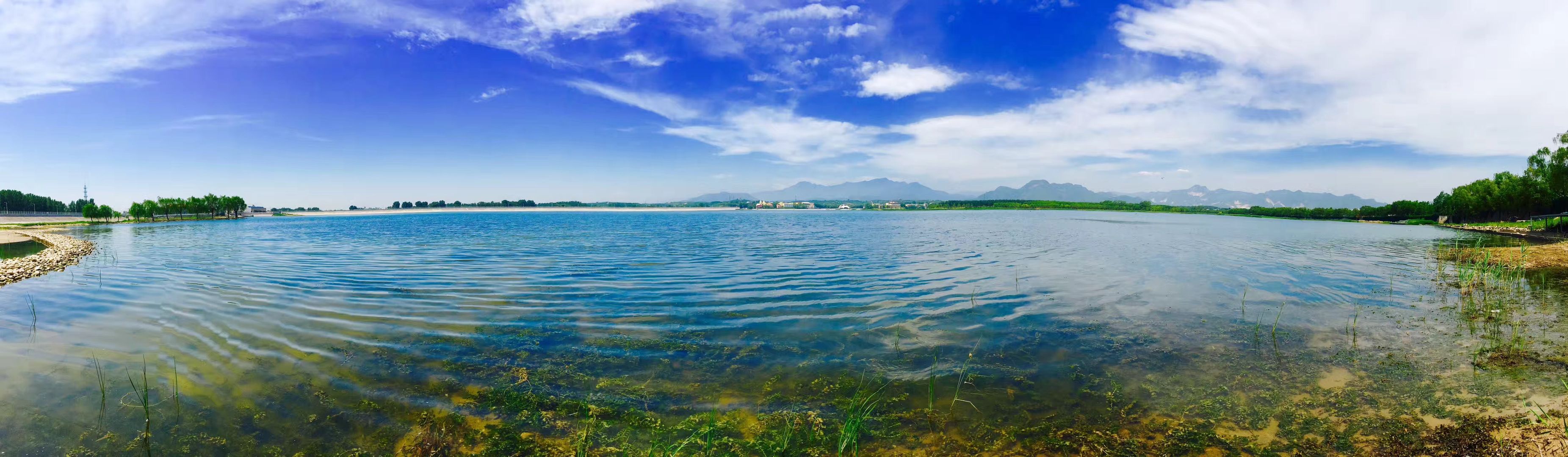 我在生命湖酒店吃了顿“横”的，厨师是奥运会的特级“选手”