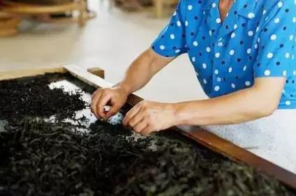 针对岩茶，拣茶梗究竟有多重要？