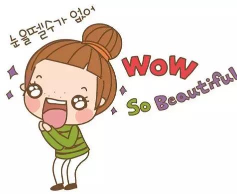 牛鞭猪肚鸡火锅,中山鸡子火锅