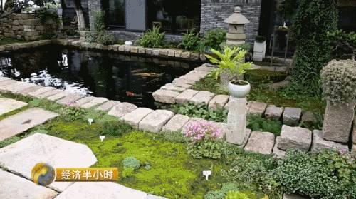 小盆栽生意赚钱吗,小盆栽几万块