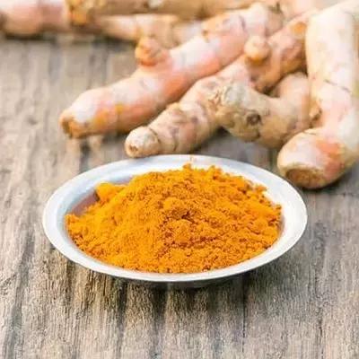 梅雨季猫癣症状,天气连续潮湿猫癣高发期