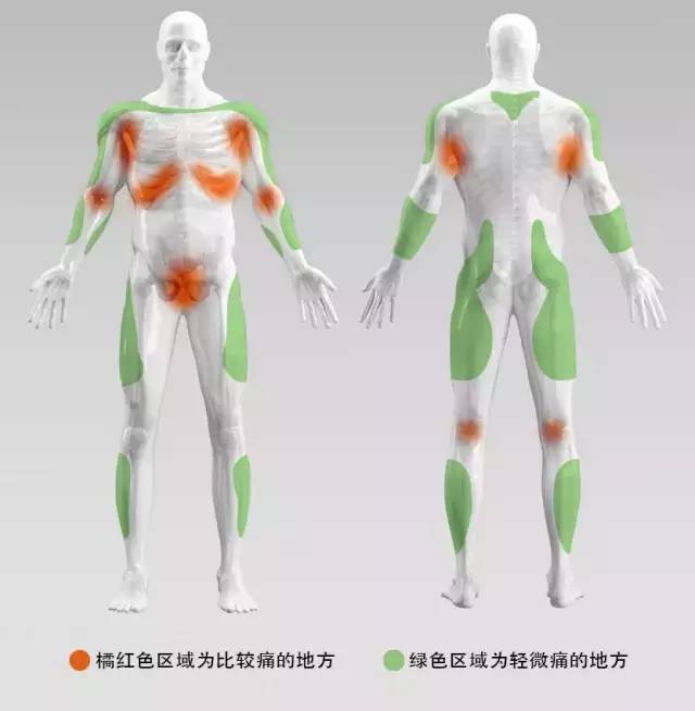 纹身的疼痛等级表,纹身的疼痛等级2.0