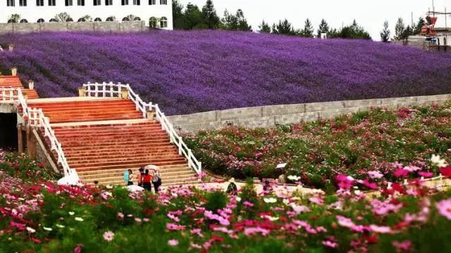 苏马荡避暑胜地是在哪个县,7月的苏马荡避暑真实感受