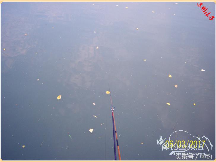 先分后合，爽钓半天