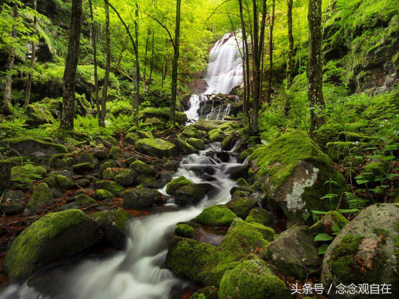 耶输陀罗与悉达多太子同床异梦，其中到底有何玄机？