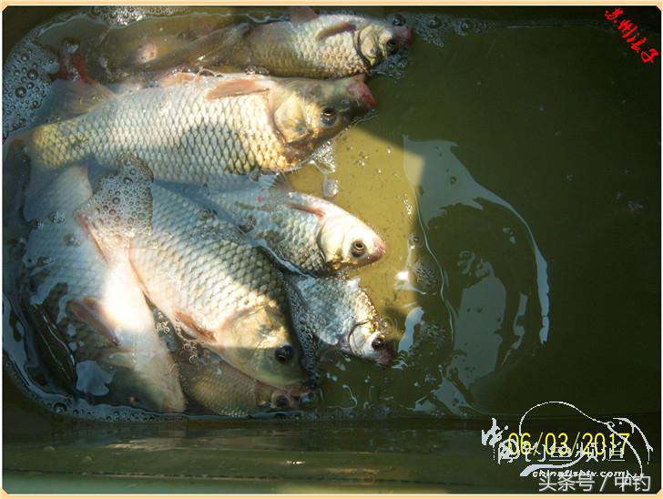 先分后合，爽钓半天