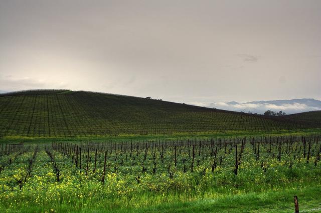 windowsxp经典电脑高清壁纸,windowsxp经典的桌面高清壁纸