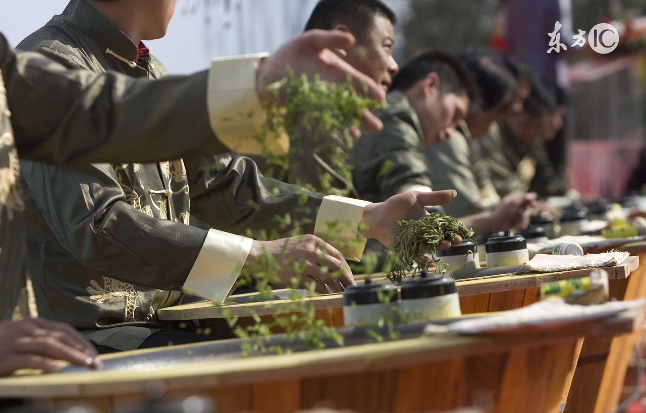 铁观音有哪些基本常识,怎样的铁观音是最好的