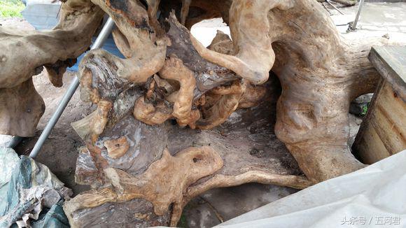 骑着雅马哈踏板摩托车周游世界,骑雅马哈天剑125回家