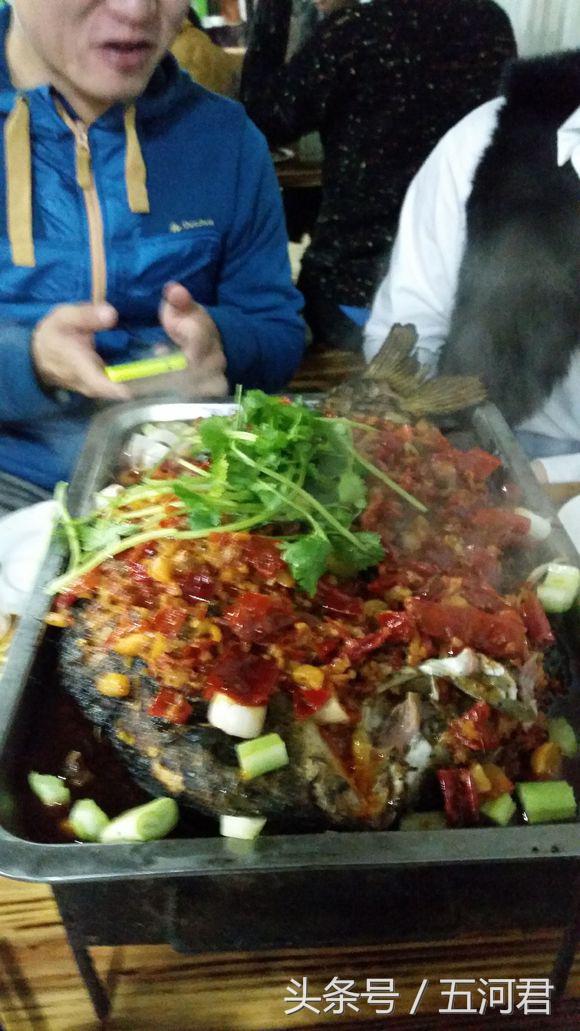 骑着雅马哈踏板摩托车周游世界,骑雅马哈天剑125回家