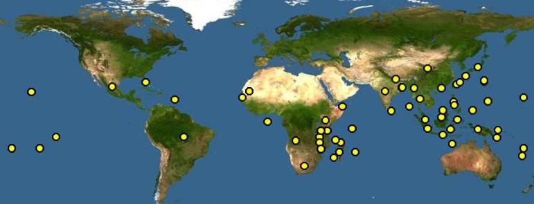 路上出现的大蜗牛,外来物种入侵非洲大蜗牛
