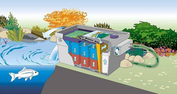 鱼池过滤品牌,鱼池过滤设备哪种好