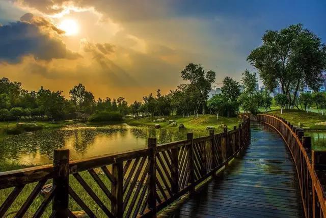 在他们的镜头下，锦城湖又美出了新高度