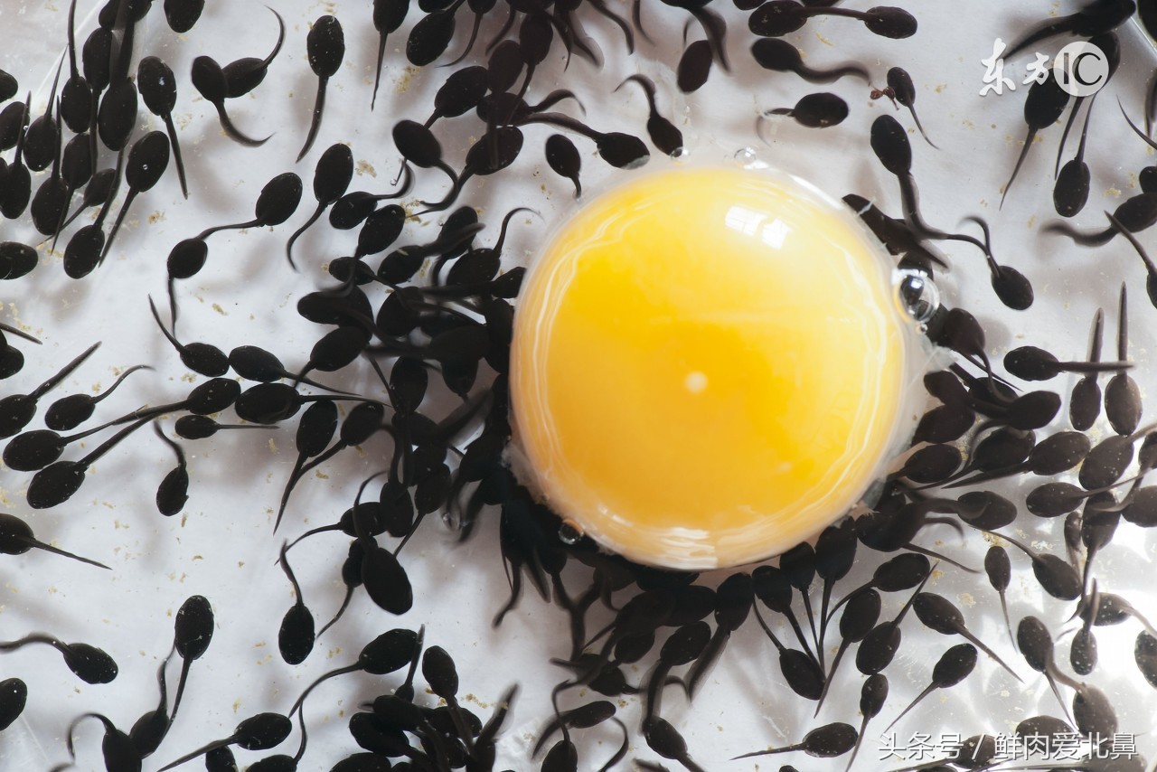 准妈妈们精卵结合有啥征兆,准妈妈胎梦准吗