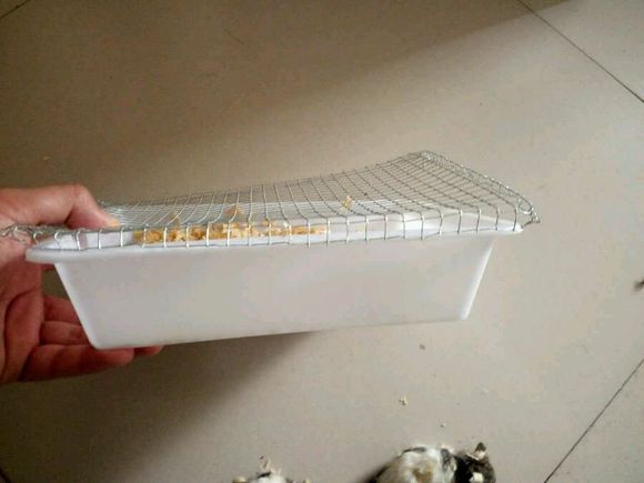 在网上买了六只花枝鼠，货到后打开一看，整个人都傻掉了