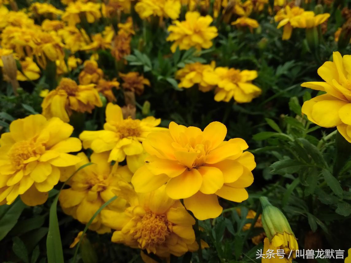 堪比4GB的流畅体验荣耀畅玩6A深度评测