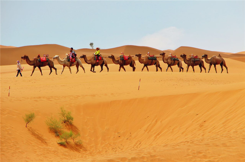 宁夏沙坡头旅游视频,宁夏中卫沙坡头旅游攻略
