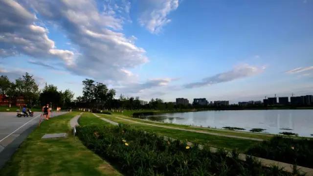 在他们的镜头下，锦城湖又美出了新高度