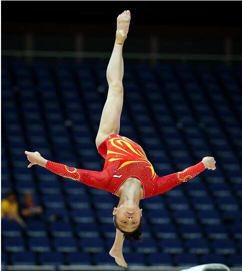 张尚武王红卫,王宏伟对张尚武的评价