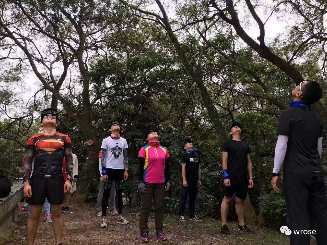 香港徒步行程大全,香港可以徒步吗