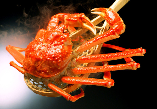 孕妇能吃的海鲜清单,准妈妈可以吃海蛎吗