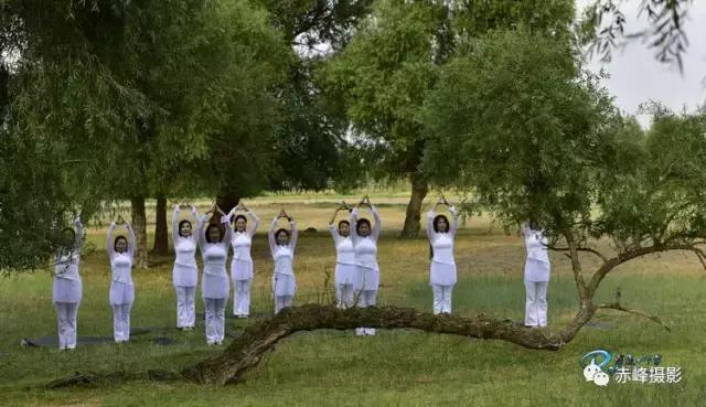 我爱夏日长深度解析,我爱夏日长在线观看