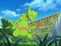 宠物小精灵小智手中最强10只精灵,宠物小精灵之精灵培育