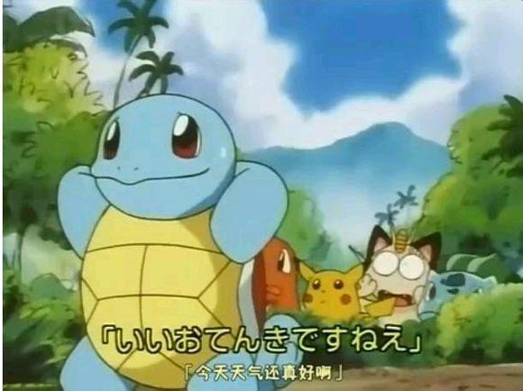 宠物小精灵小智手中最强10只精灵,宠物小精灵之精灵培育