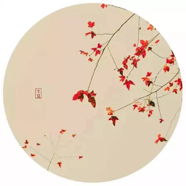 原来用手机就能拍出这么美的照片,手机拍出来最美的照片