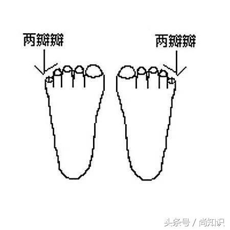 小脚趾甲为什么有两瓣的传说,为什么我们有两个小脚趾甲