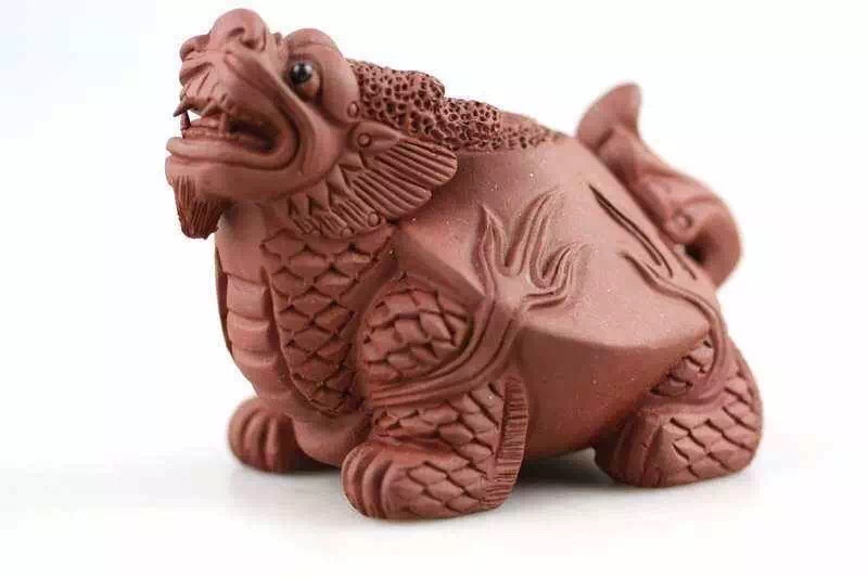 普洱养什么茶宠,茶宠能用普洱生茶养吗