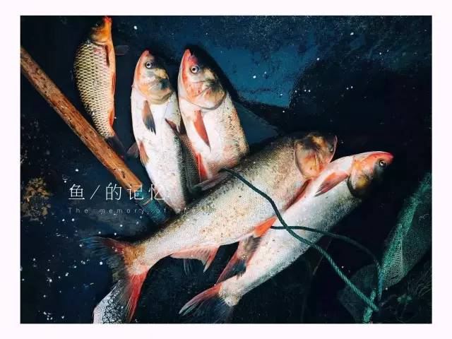 原来用手机就能拍出这么美的照片,手机拍出来最美的照片