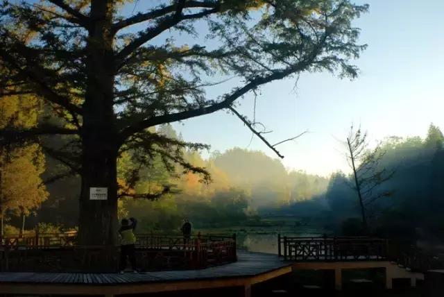 苏马荡避暑胜地是在哪个县,7月的苏马荡避暑真实感受