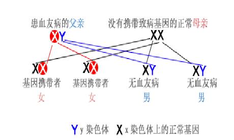 轻度血友病患者的表现,血友病最早发病案例