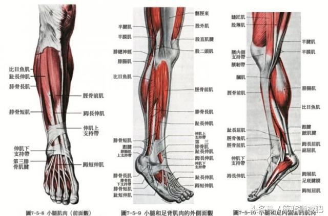 涨知识该做什么,涨知识的方法有哪些