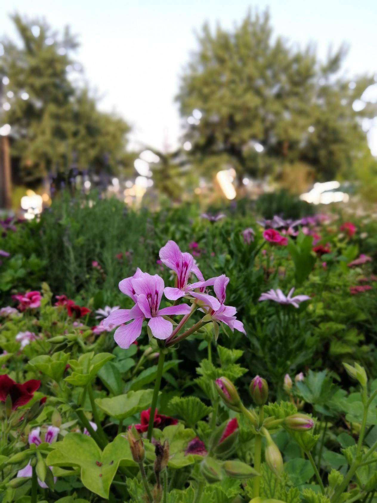 荣耀9测评体验,荣耀9最新性能评测