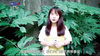 金秒奖的最佳女主角,第二季度金秒奖最佳女主角是谁