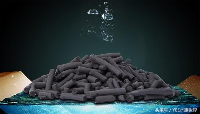 鱼缸里的五颜六色,鱼缸里有绿点怎么处理