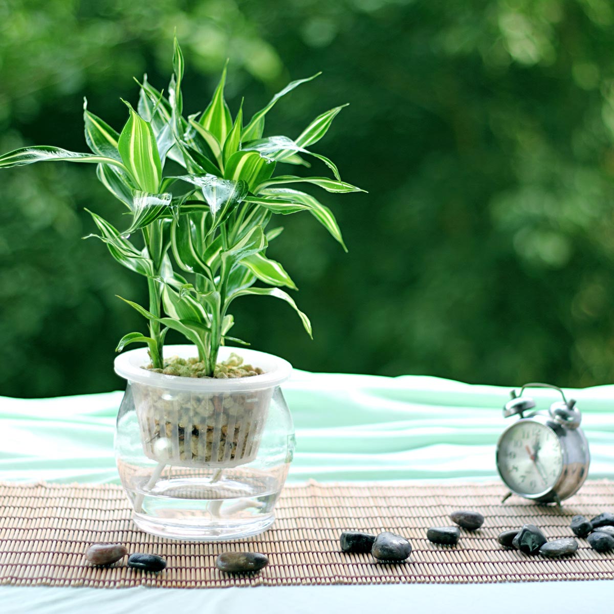 空调房干燥怎么补水,房间空调干燥打盆水有用吗