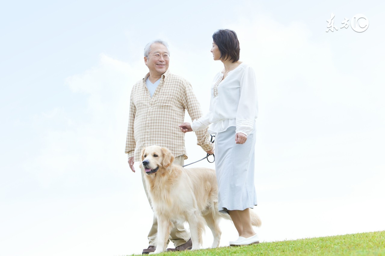 属狗人该怎么改变缺点,属狗人最大的缺点