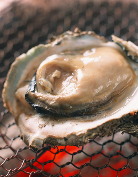 孕妇能吃的海鲜清单,准妈妈可以吃海蛎吗