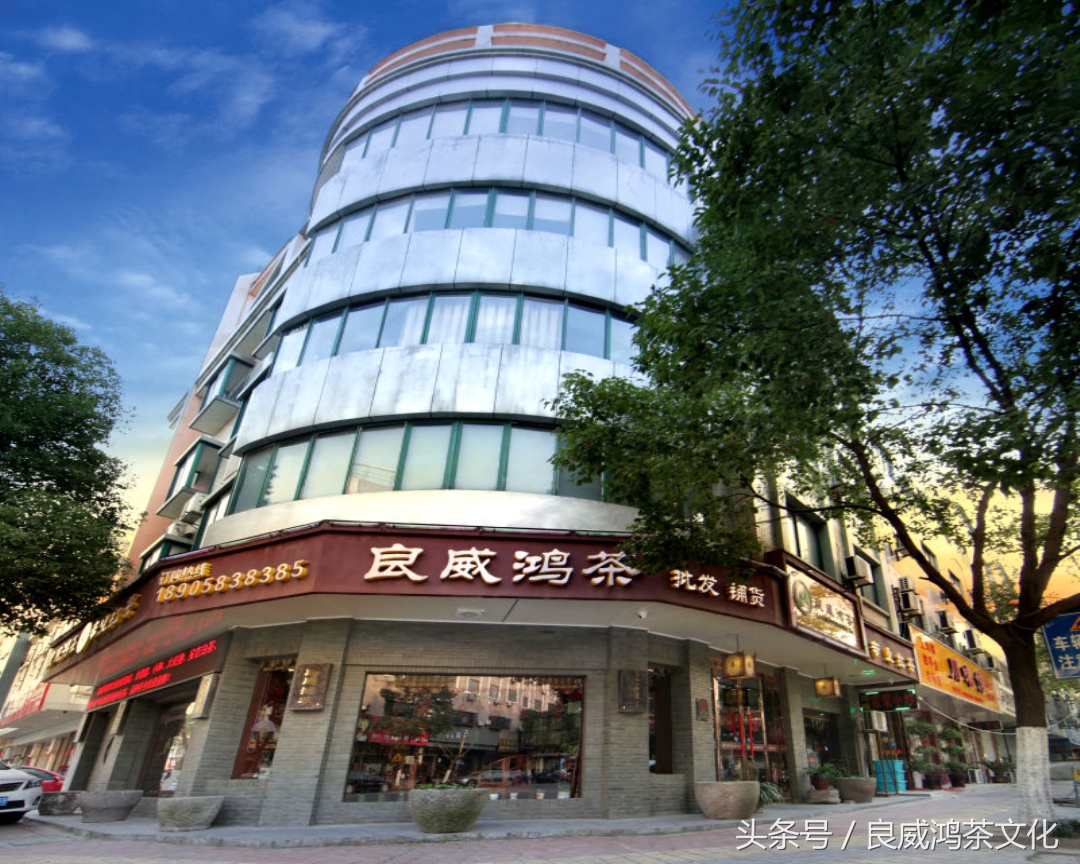 香茗的忧伤，还是我的忧伤