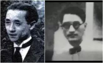 野草闲花逢春生完整版,野草闲花逢春生背后的故事