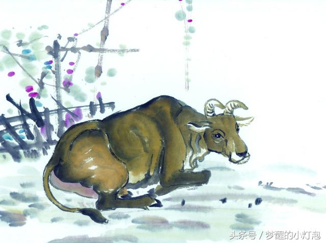 属牛人一定要远离的生肖,属牛一生纠缠不清的几大生肖