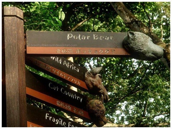 特色创意标志,创意标识的魅力