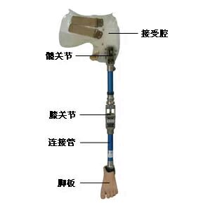 截肢后戴假肢老是疼怎么处理,截肢病人关注事项