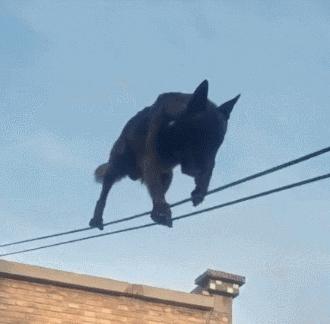 吹风机吹坏发根了怎么办,吹风机吹坏头发怎么办